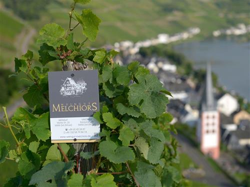 Holiday apartment - 2 persons -  - Balduinstraße - 56856 - Zell