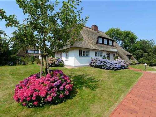 Ferieleilighet - 5 personer -  - Dieksweg - 25938 - Nieblum