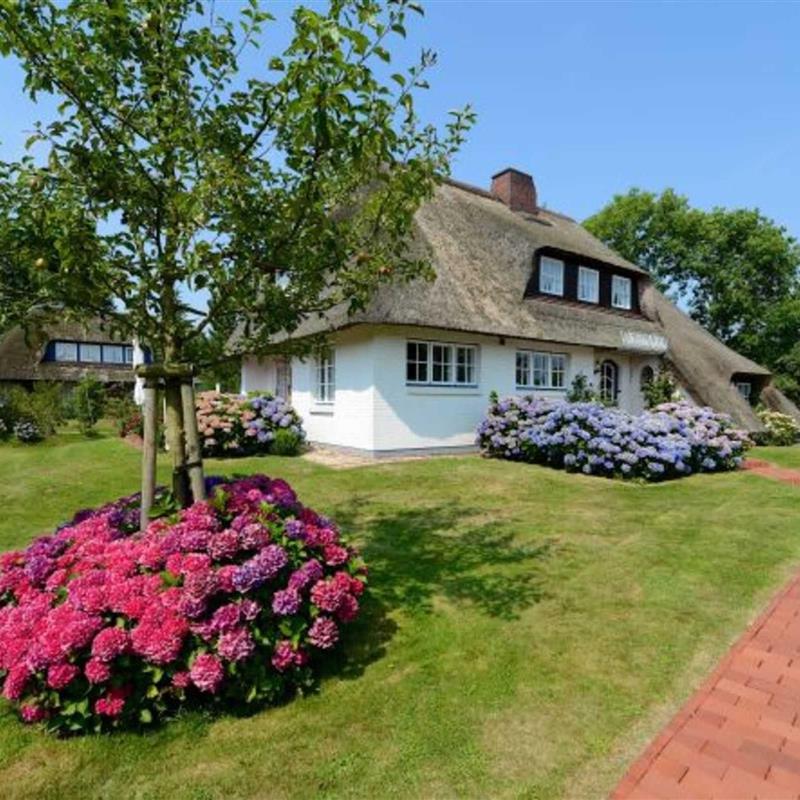 Ferielejlighed - 5 personer -  - Dieksweg - 25938 - Nieblum