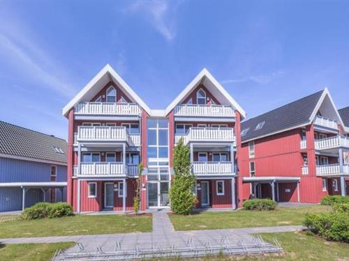 Ferielejlighed - 2 personer -  - Am Hafendorf - 17248 - Rechlin-Nord