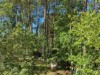 Bild 12 - Tomt