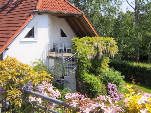 Ferielejlighed - 2 personer -  - Birkmaase - 18374 - Ostseeheilbad Zingst