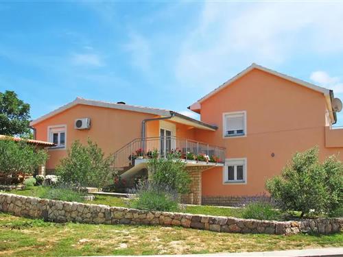 Feriehus / leilighet - 6 personer -  - Ulica Jure Bozica - Zadar-Maslenica - 23243 - Maslenica