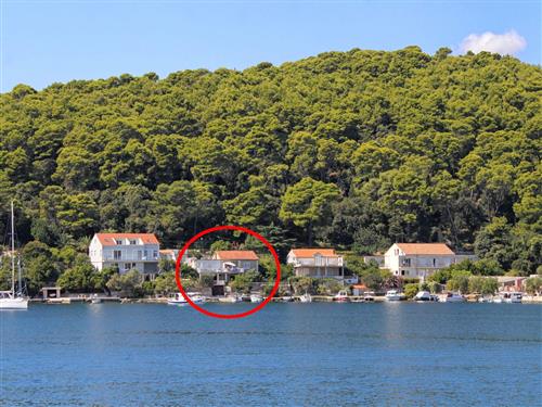 Ferielejlighed - 6 personer -  - Šetalište Tina Ujevica - 20260 - Korcula