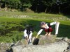 Bild 19