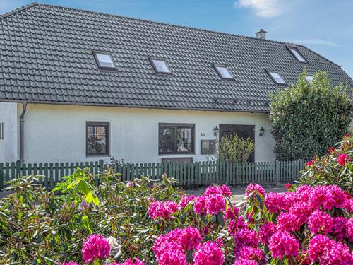 Ferielejlighed - 2 personer -  - Neuendorfer Straße - 17373 - Ueckermünde (Seebad)