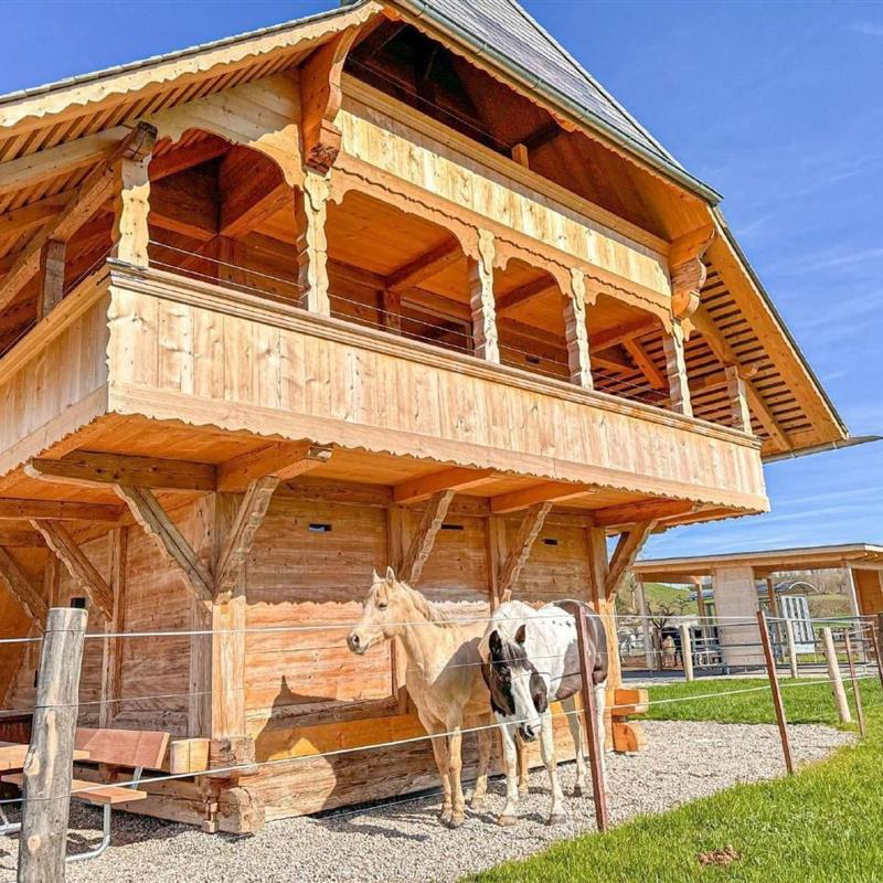 Sommerhus - 12 personer -  - Grünenmatt - 3452