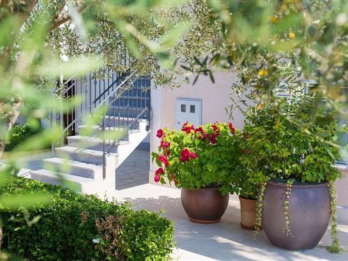 Holiday Home/Apartment - 2 persons -  - Vantacici - 51511 - Vantacici