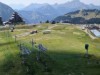 Bild 22