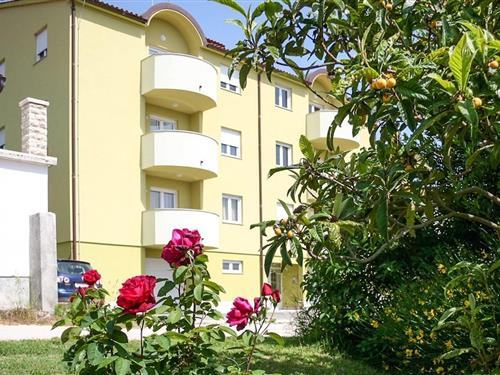 Holiday Home/Apartment - 4 persons -  - Runjacica - 52100 - Premantura