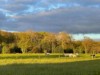 Image 16