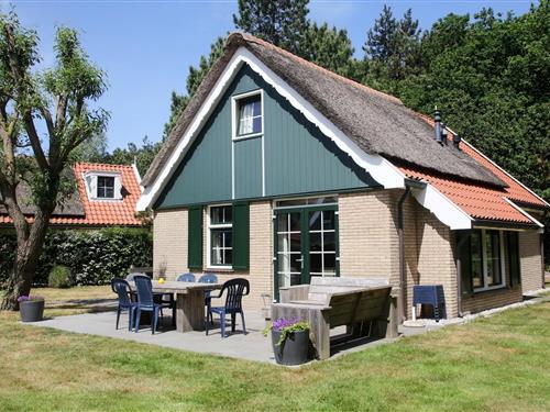 Feriehus - 6 personer -  - 1796NM - De Koog