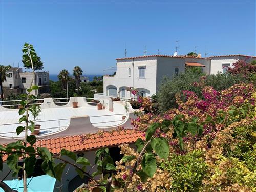 Sommerhus - 5 personer -  - Ischia Forio - 80075