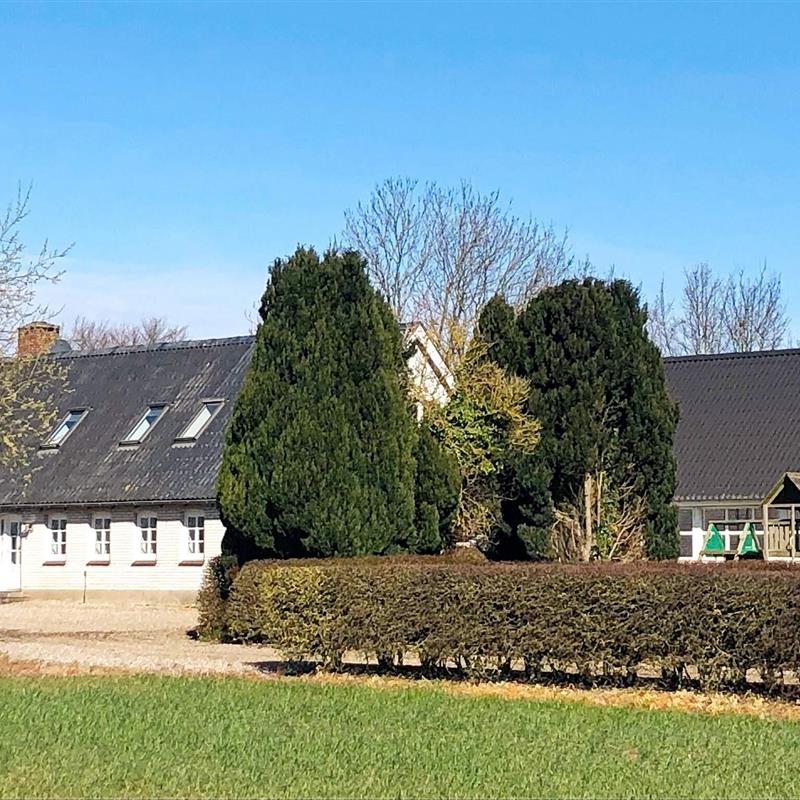 Ferienhaus - 14 Personen -  - Tapagervej - Hejlsminde - 6100 - Haderslev