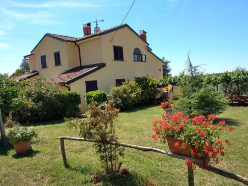 Ferieleilighet - 4 personer -  - Vinogradska 61 d - 52475 - Zambratija