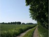 Bild 33