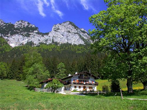 Holiday Home/Apartment - 2 persons -  - Triebenbachstraße - 83486 - Ramsau