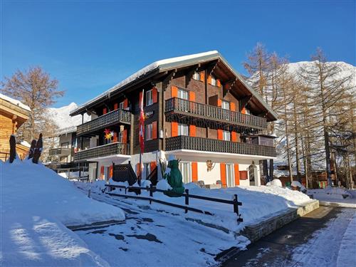 Ferienhaus - 4 Personen -  - Hohgeblätt - 3906 - Saas-Fee