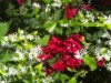 Bild 19