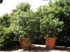 Bild 9 - Aussen