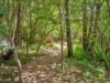 Billede 22 - Grund