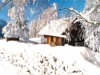 Billede 1