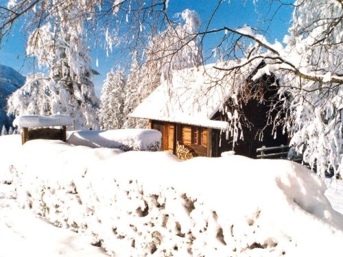 Sommerhus - 4 personer -  - Kollmannsberg - 4814 - Altmünster Am Traunsee