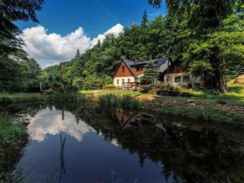 Ferienhaus - 11 Personen -  - Oppach - 02736