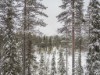 Bild 17 - Inde