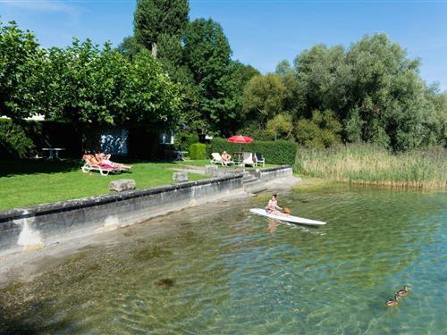 Ferienhaus - 4 Personen -  - Friedrichshafener Straße - 88090 - Immenstaad