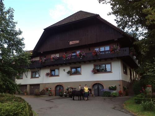 Ferienwohnung - 3 Personen -  - Zell Am Harmersbach - 77736