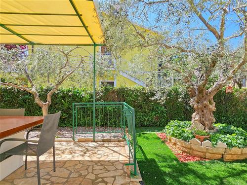 Semesterlägenhet - 4 personer -  - Novigrad (Istra) - 52466