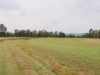 Billede 11 - Ude