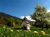 Bild 39