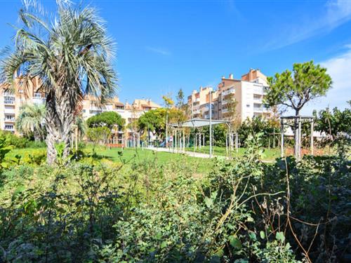 Ferienhaus - 6 Personen -  - 83400 - Hyeres