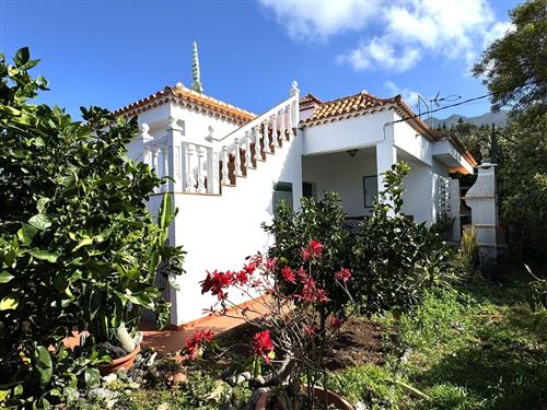 Feriehus - 3 personer -  - Camino los Gomeros - 38780 - El Jesús