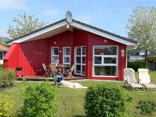 Semesterhus/Semesterlägenhet - 4 personer -  - Strandpark - 23743 - Grömitz