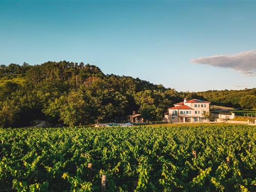 Holiday home - 9 persons -  - Kanedolo - Buje-Momjan - 52460 - Buje