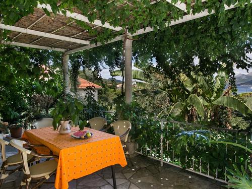 Holiday apartment - 2 persons -  - 20221 - Kolocep