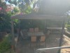 Bild 33 - Ude