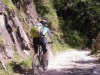 Billede 24