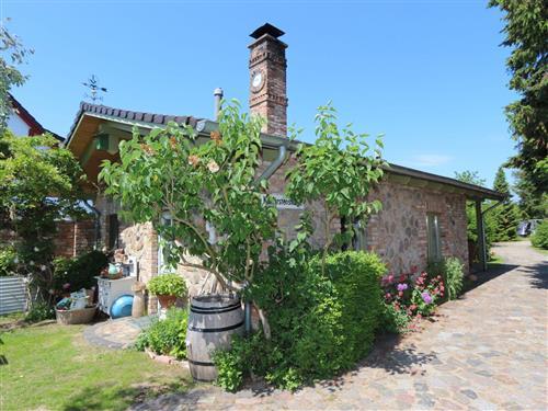 Ferielejlighed - 2 personer -  - Rieckstraße - 17459 - Zempin