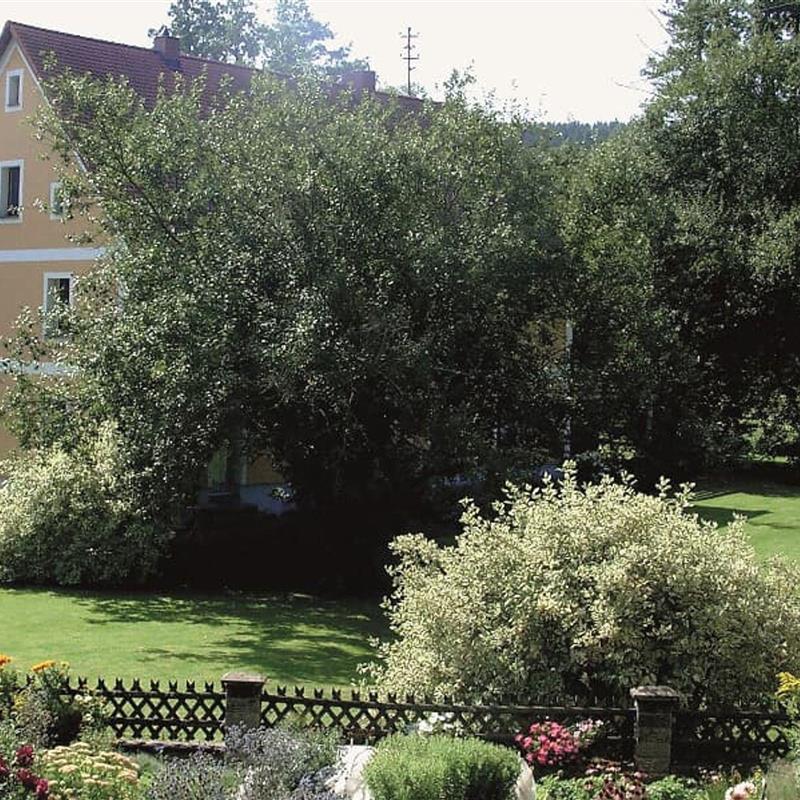 Ferielejlighed - 3 personer -  - Trautenberg - 92703 - Krummennaab