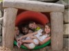 Bild 14