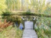 Bild 5 - Inde