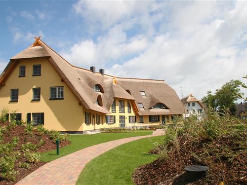 Ferielejlighed - 2 personer -  - Birkenallee - 18347 - Dierhagen