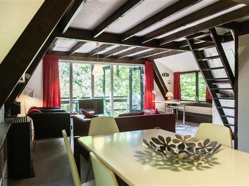 Chalet - 5 personer -  - 6940 - Petithan