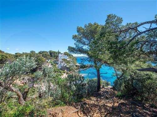 Sommerhus - 4 personer -  - Cavalaire - 83240