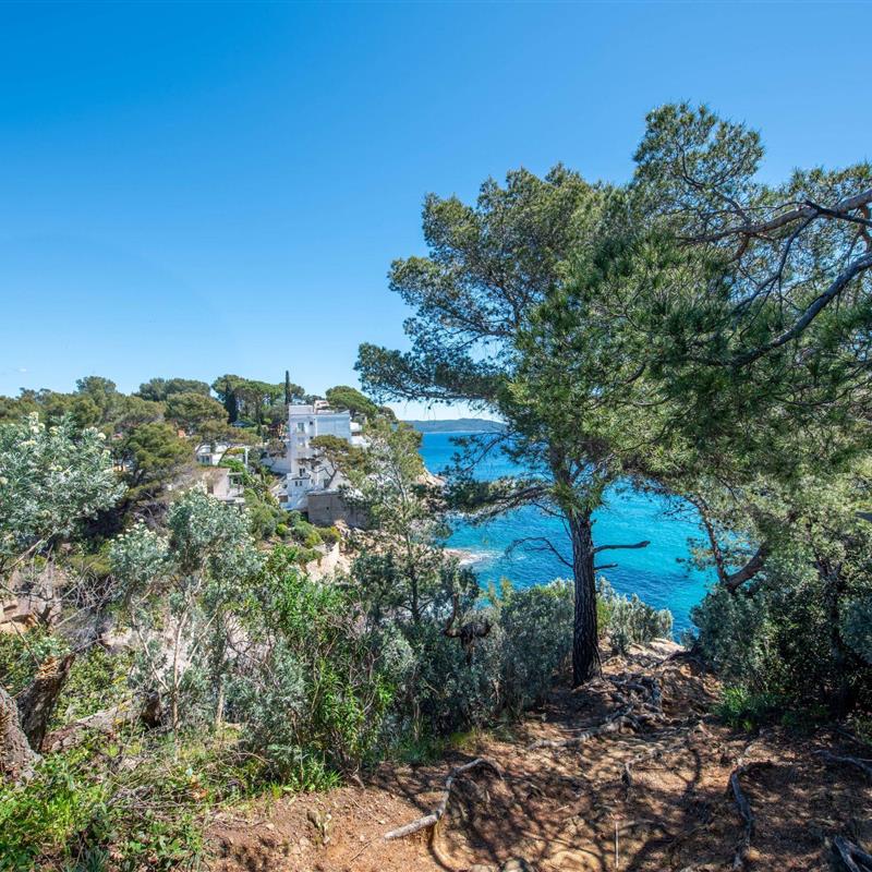 Sommerhus - 4 personer -  - Cavalaire - 83240