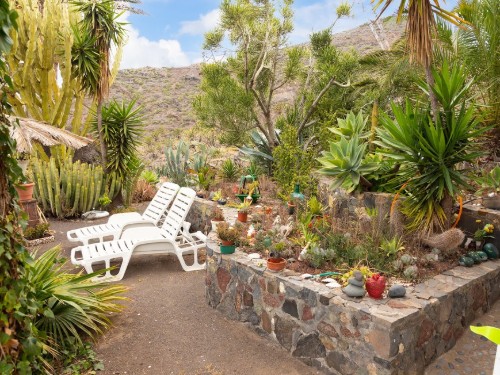 Holiday home - 3 persons -  - Tazo - 38840 - Vallehermoso